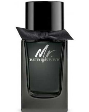 Burberry Muški Parfemi - Mr. Burberry Eau de Parfum
